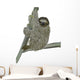 Smiling Sloth Hanging on a Branch Wall Decal