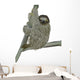 Smiling Sloth Hanging on a Branch Wall Decal