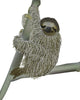 Smiling Sloth Hanging on a Branch Wall Decal