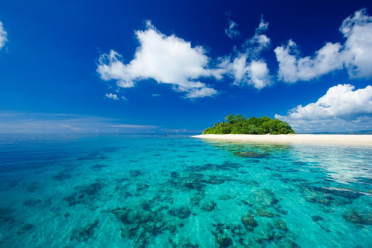Tropical Island Vacation Paradise Wall Mural