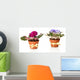 Bright saintpaulias in flowerpots, isolated on white Wall Decal