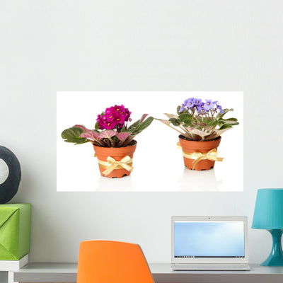 Bright Saintpaulias Flowerpots White Wall Decal shown on a wall