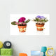 Bright saintpaulias in flowerpots, isolated on white Wall Decal