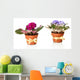 Bright saintpaulias in flowerpots, isolated on white Wall Decal