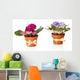 Bright saintpaulias in flowerpots, isolated on white Wall Decal