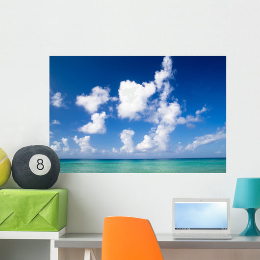 Tropical Sea