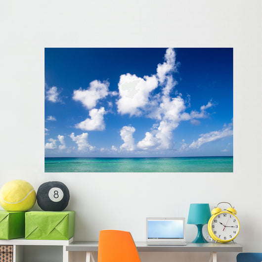 Tropical Sea