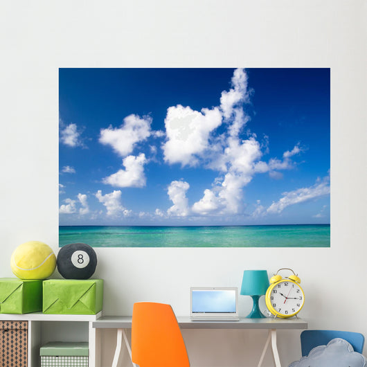Tropical Sea