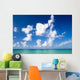 Tropical Sea