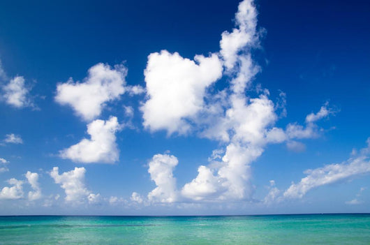 Tropical Sea