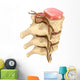 Human spine Wall Decal