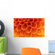Abstract petals Wall Mural