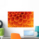 Abstract petals Wall Mural