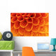Abstract petals Wall Mural