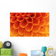 Abstract petals Wall Mural