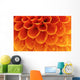 Abstract petals Wall Mural