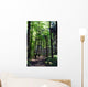 Shaded forest road Wall Mural