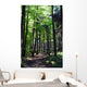 Shaded forest road Wall Mural
