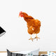 Rhode Island Red Chicken Wall Decal