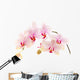 Phalaenopsis Wall Decal