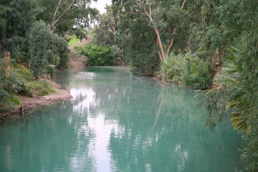 The Jordan River Israel Wall Mural