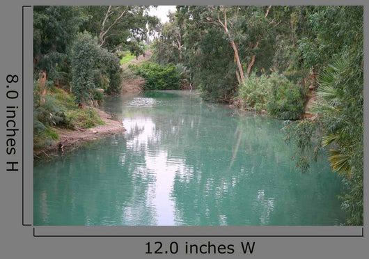 The Jordan River Israel Wall Mural