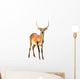 Red Lechwe Isolated on White Background Wall Decal