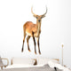 Red Lechwe Isolated on White Background Wall Decal