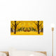 yellow maple leaves landscapes Wall Mural