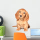 Dachshund Puppy Wall Decal