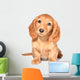 Dachshund Puppy Wall Decal