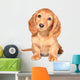 Dachshund Puppy Wall Decal