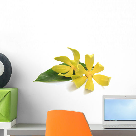 Ylang-ylang flower Wall Decal