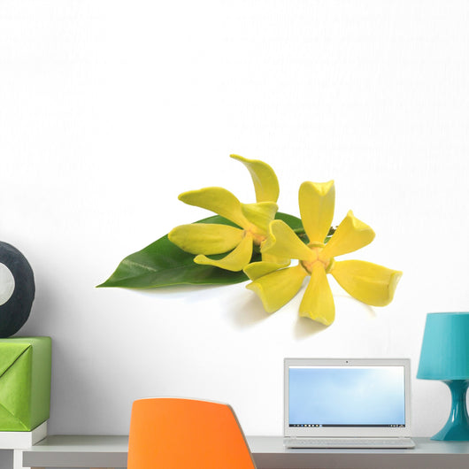 Ylang-ylang flower Wall Decal