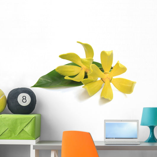 Ylang-ylang flower Wall Decal