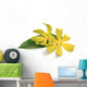 Ylang-ylang flower Wall Decal