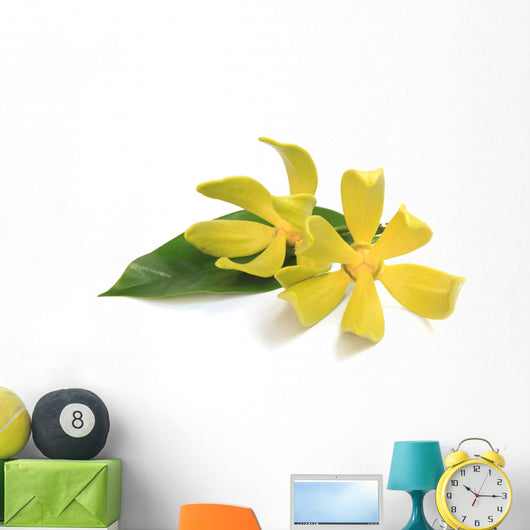 Ylang-ylang flower Wall Decal