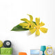 Ylang-ylang flower Wall Decal