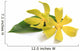 Ylang-ylang flower Wall Decal