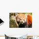 Red Panda Firefox or