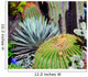 Morocco Marrakech Cactus Wall Mural