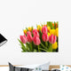 Verschiedene Tulpen Wall Decal