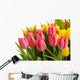 Verschiedene Tulpen Wall Decal
