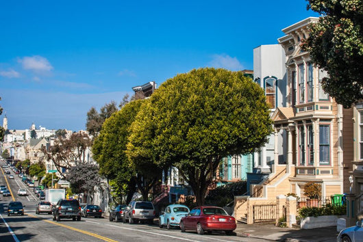 San Francisco Victorian Houses