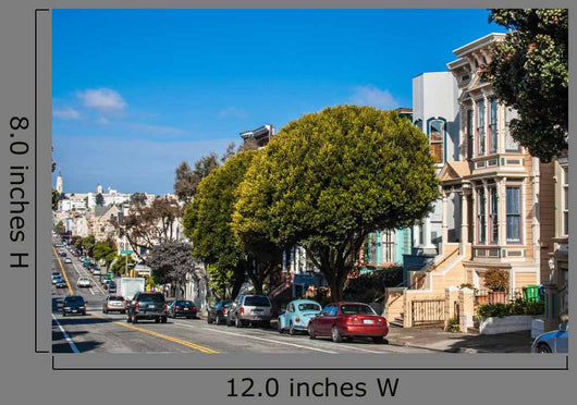 San Francisco Victorian Houses
