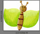 Green Butterfly