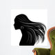 Woman Hair Style Silhouette