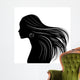 Woman Hair Style Silhouette