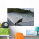 man waterskiing Wall Mural