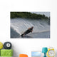 man waterskiing Wall Mural